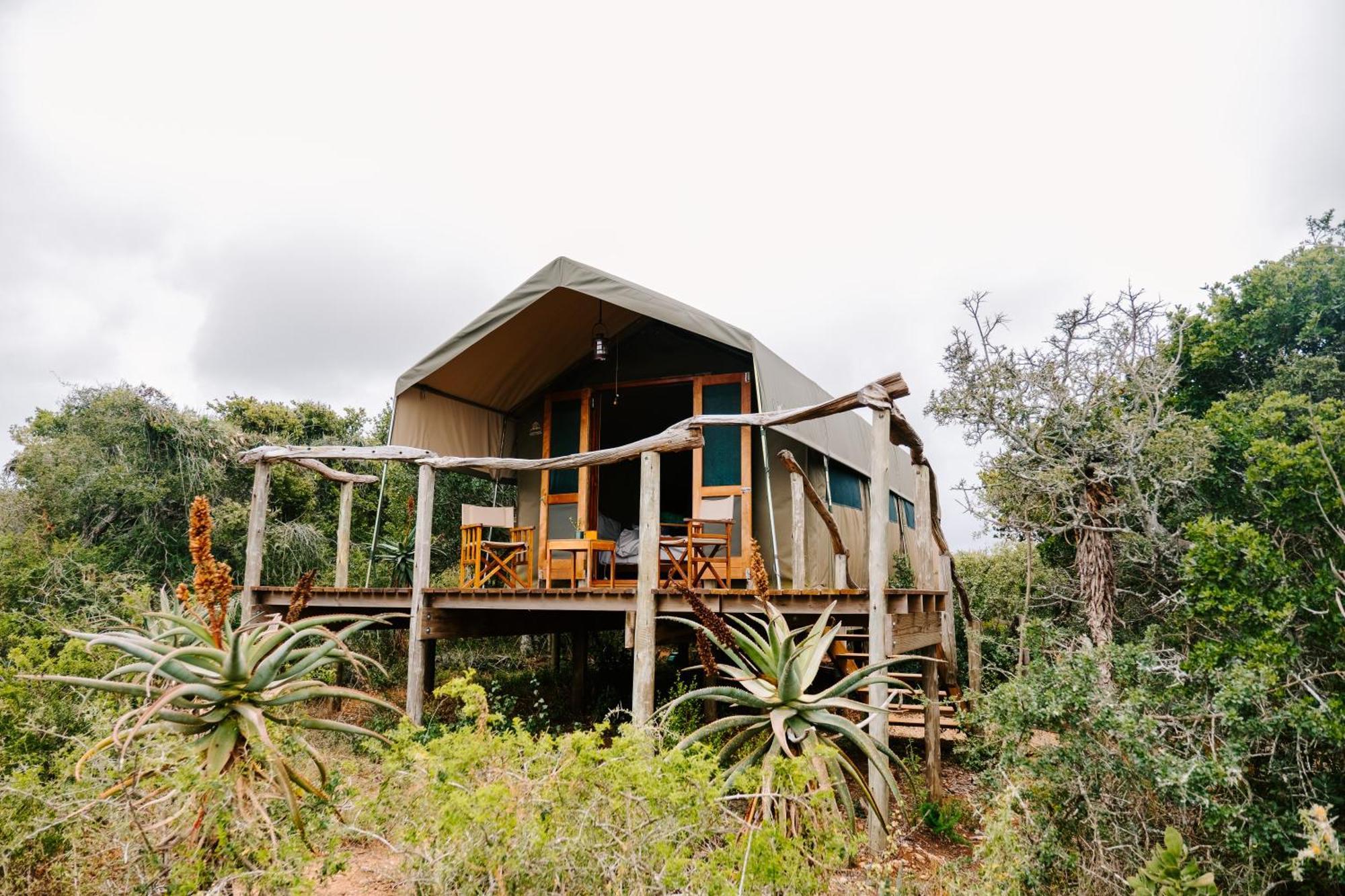 Woodbury Tented Camp - Reserva de Amakhala Exterior foto