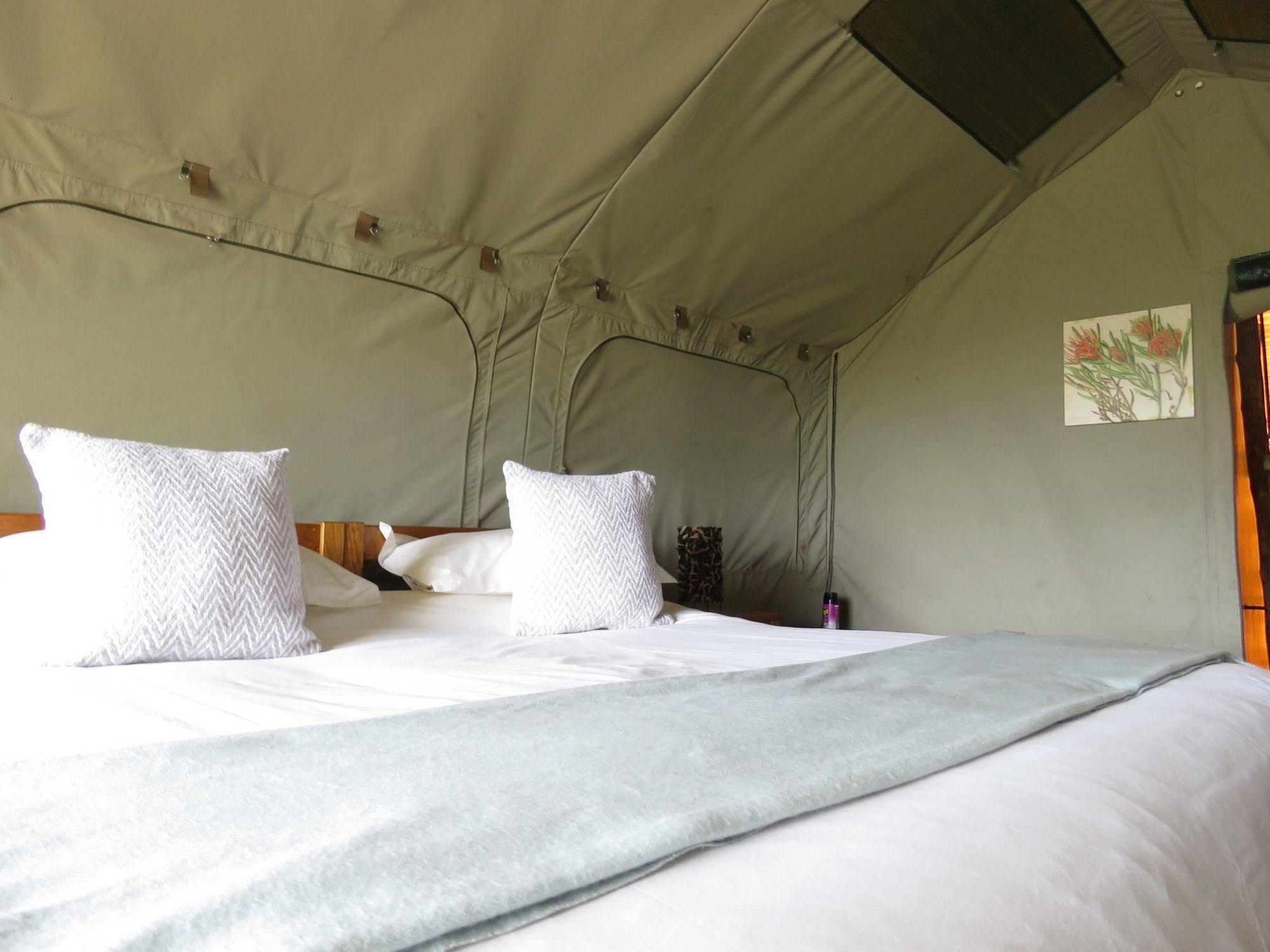 Woodbury Tented Camp - Reserva de Amakhala Exterior foto